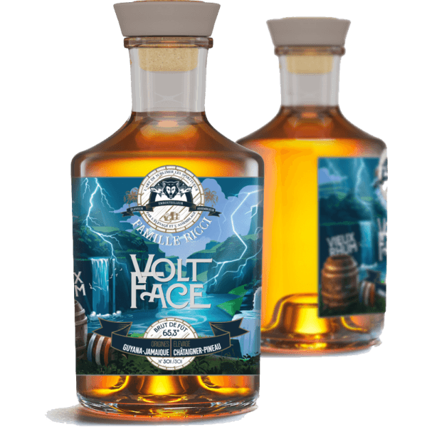 FAMILLE AZUR "VOLT FACE"