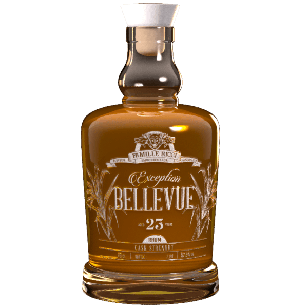 FAMILLE AZUR "BELLEVUE" 23 ans