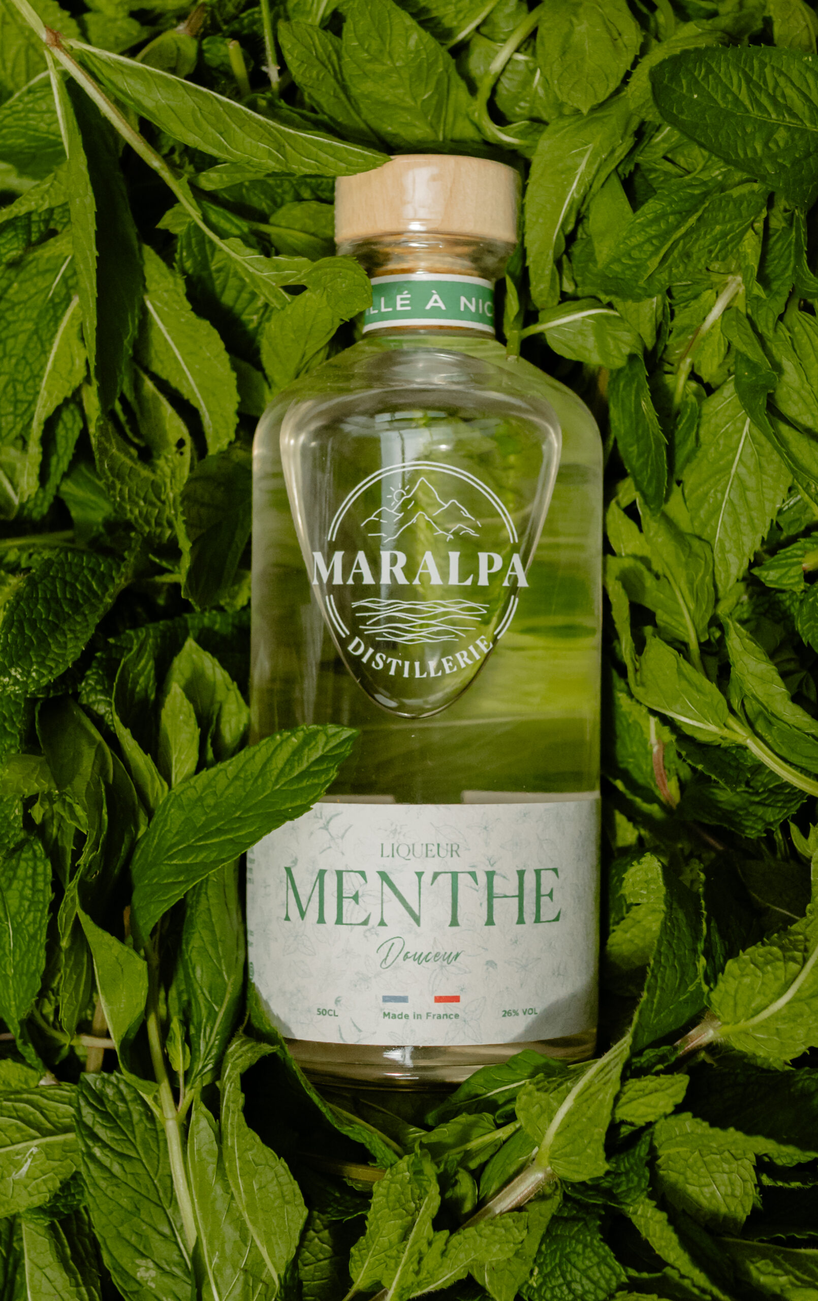 Maralpa - Menthe « Douceur » 2025 – Image 4